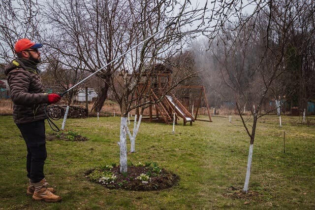Обробити город від шкідників